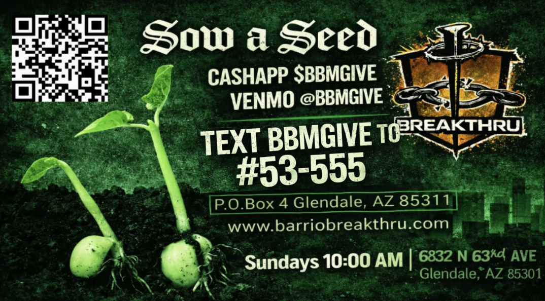 Sow a Seed giving graphic